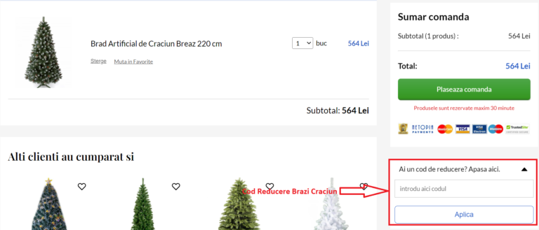 Cum sa aplici un cod de reducere Brazi Craciun